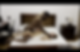 Lola is a Petite Latina Teen That Loves Fucking Big Dick During Her Massage!!